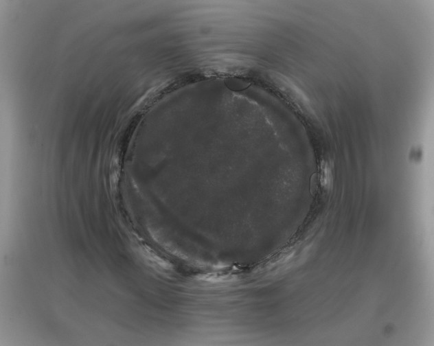 X0000097630915200803142021