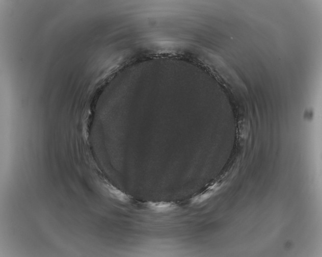 X0000097630916200803142021