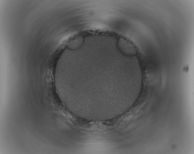 X0000097630918200803142021