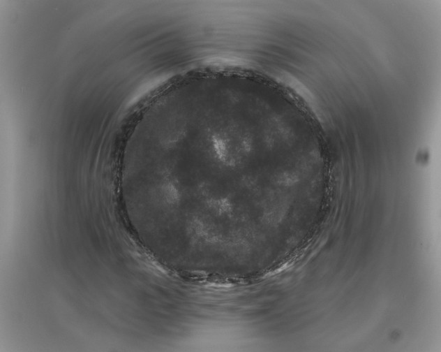 X0000097630919200803142021