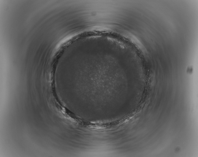 X0000097630920200803142021