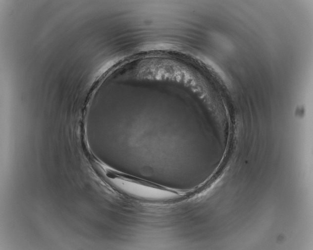 X0000097630921200803142021