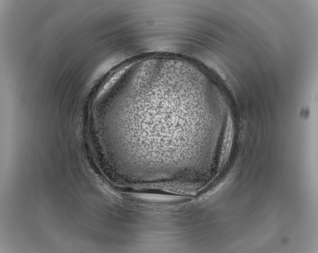 X0000097630922200803142021