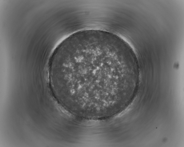 X0000097630925200803142021