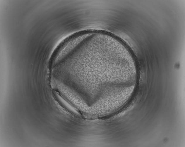 X0000097630926200803142021