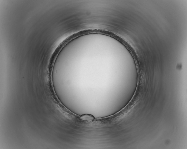 X0000097630927200803142021