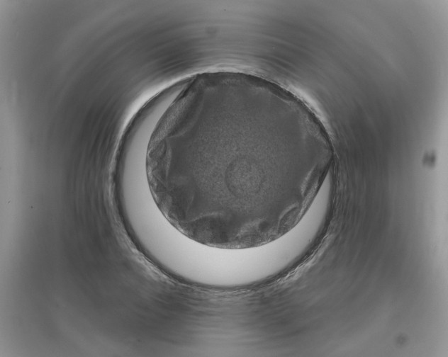 X0000097630928200803142021