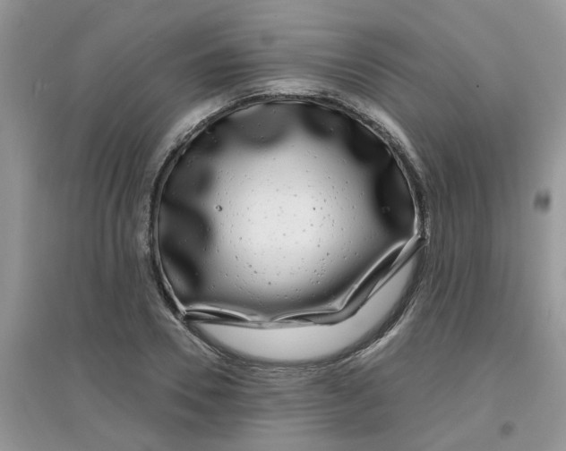 X0000097630930200803142021