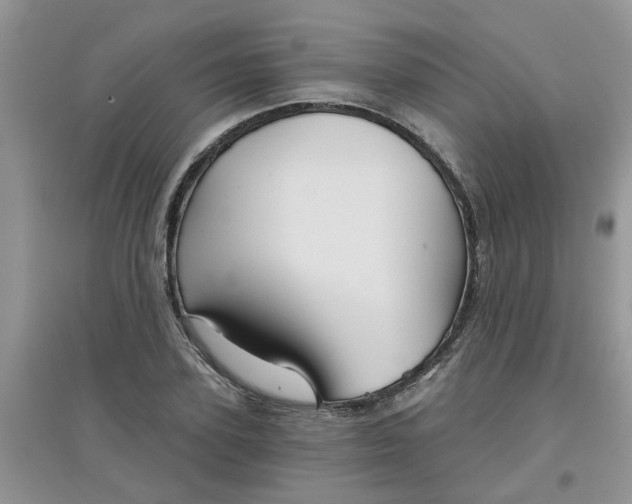 X0000097630931200803142021