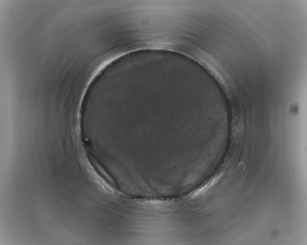 X0000097630932200803142021