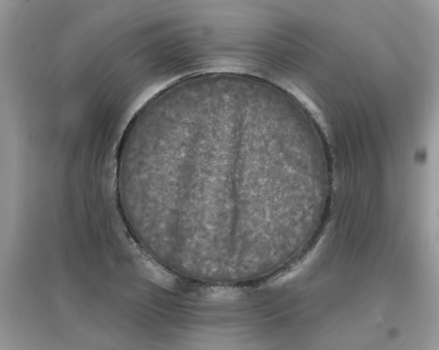 X0000097630933200803142021