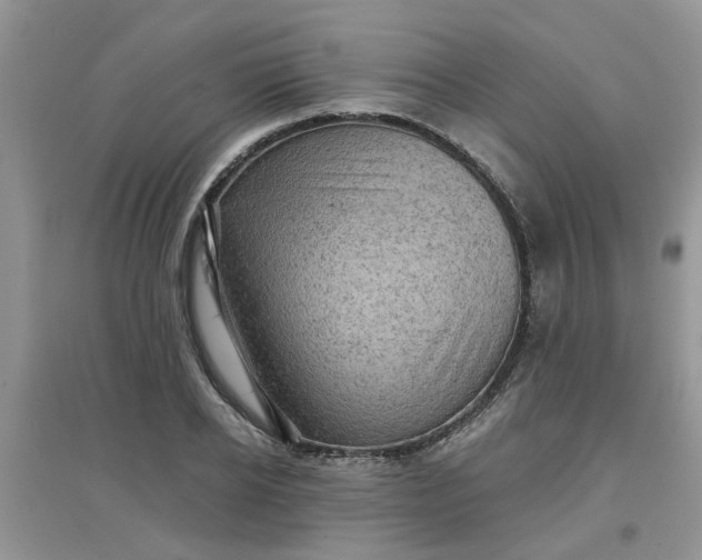 X0000097630934200803142021