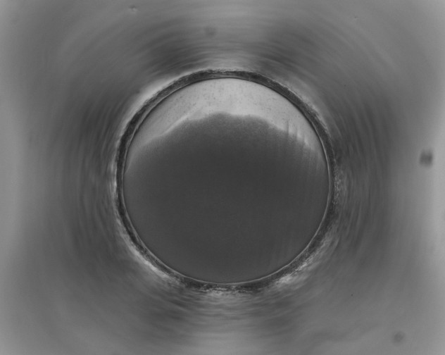 X0000097630935200803142021