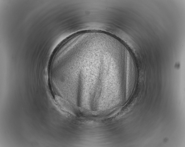 X0000097630936200803142021