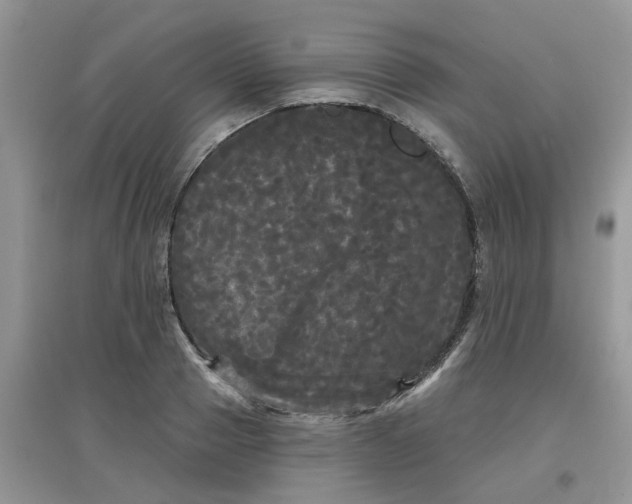 X0000097630937200803142021