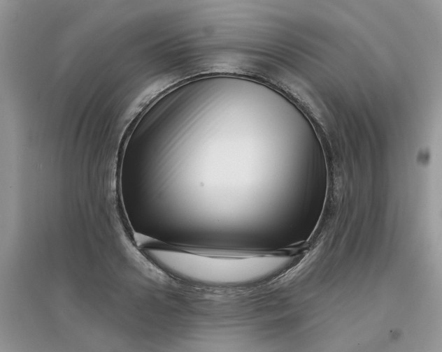 X0000097630938200803142021