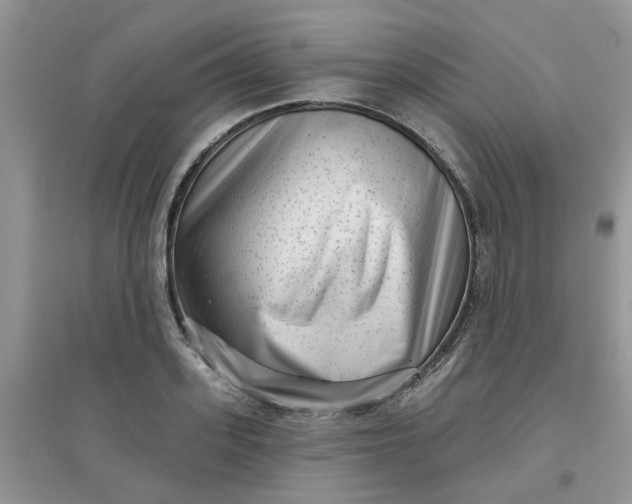 X0000097630939200803142021