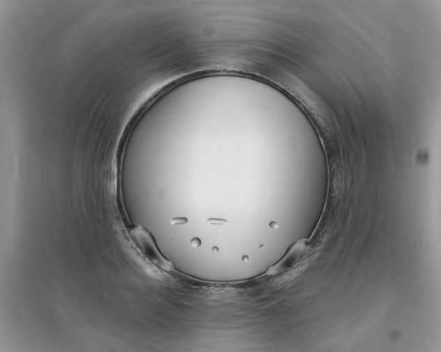 X0000097630940200803142021