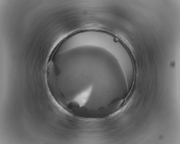 X0000097630941200803142021