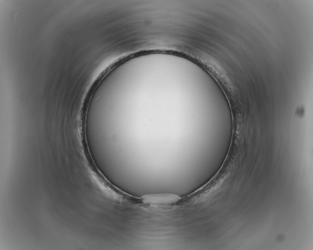 X0000097630942200803142021