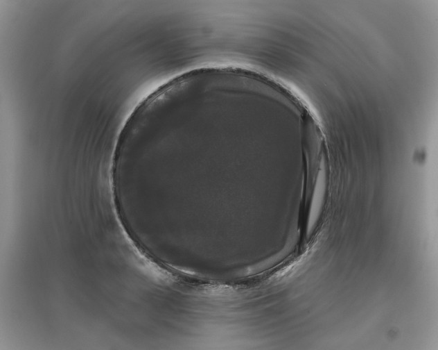 X0000097630943200803142021