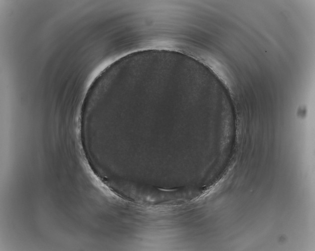 X0000097630944200803142021