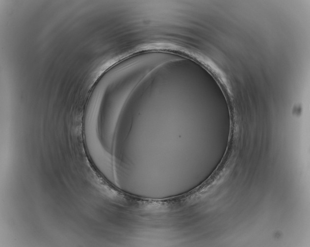 X0000097630945200803142021