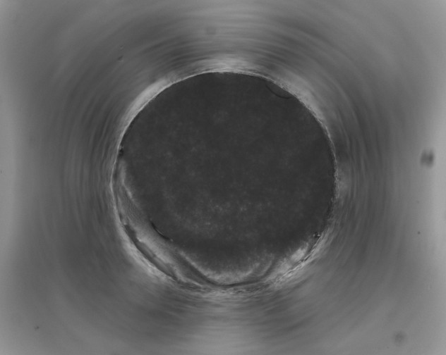 X0000097630946200803142021