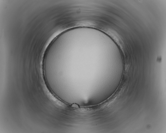 X0000097630947200803142021