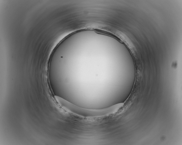 X0000097630948200803142021