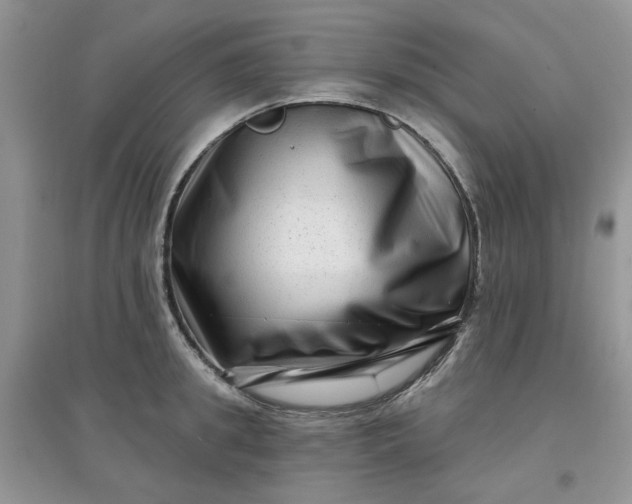 X0000097630949200803142021