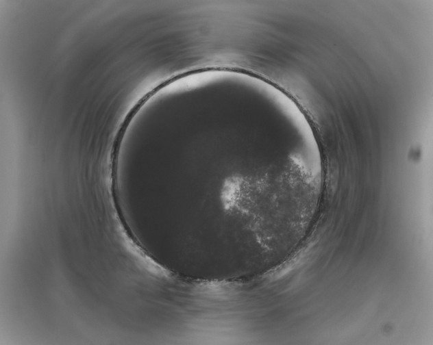 X0000097630950200803142021