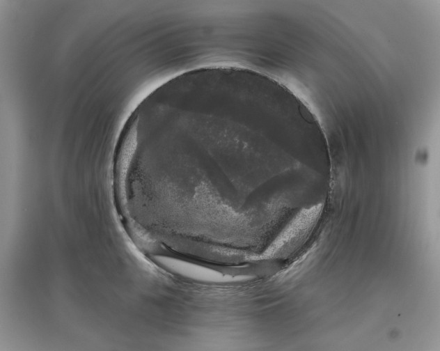 X0000097630951200803142022