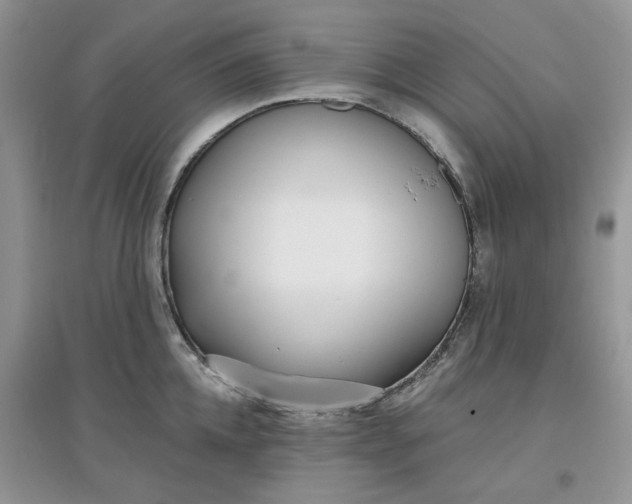 X0000097630952200803142022