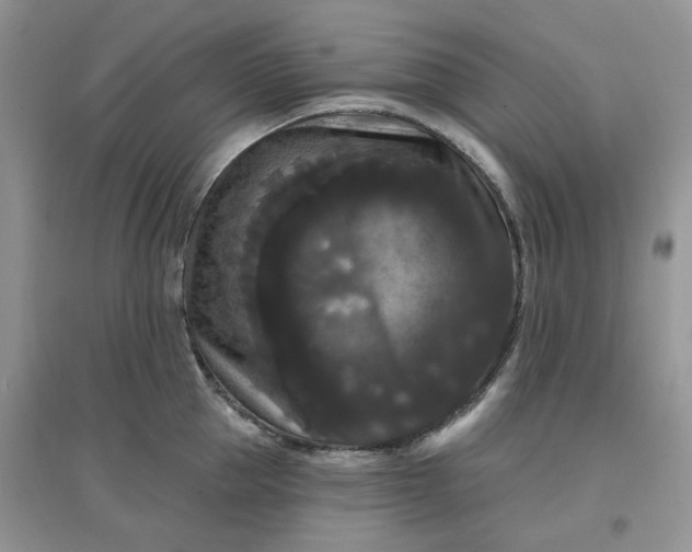 X0000097630953200803142022