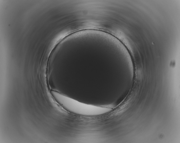 X0000097630954200803142022