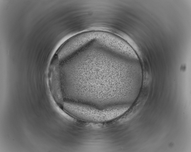 X0000097630955200803142022