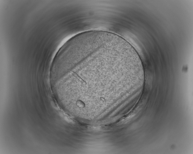 X0000097630956200803142022