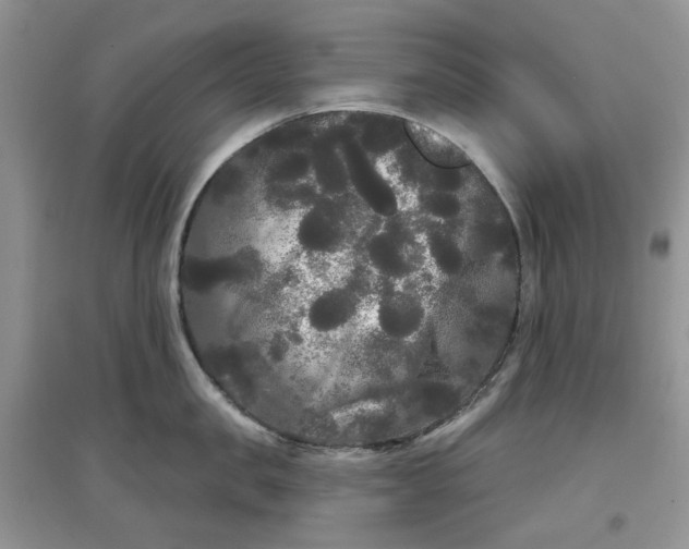 X0000097630957200803142022