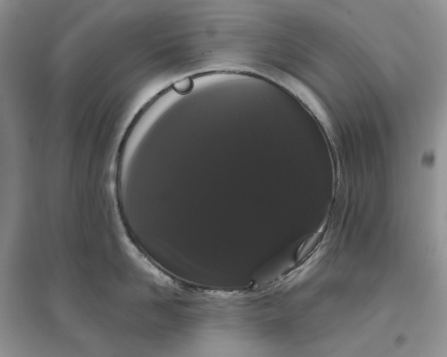 X0000097630958200803142022