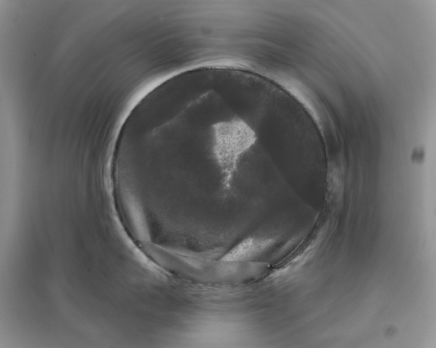 X0000097630959200803142022