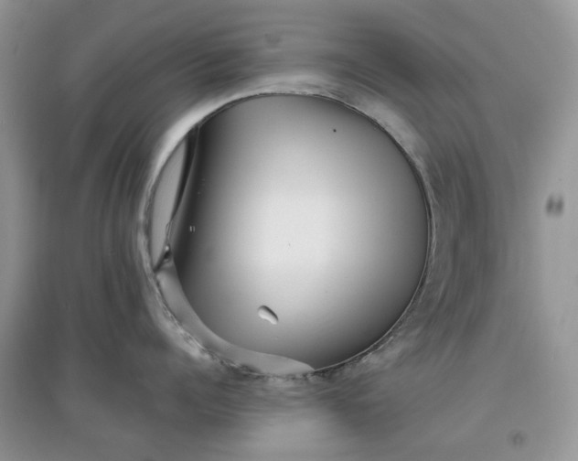 X0000097630960200803142022