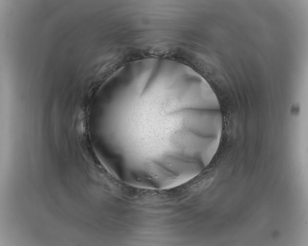 X0000097630962200803142021