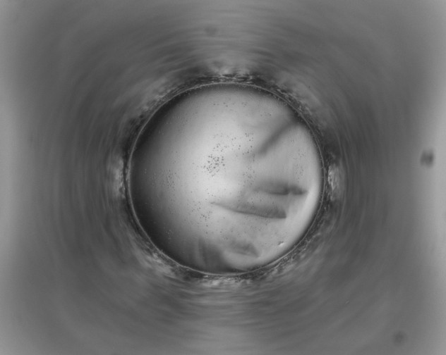 X0000097630963200803142021