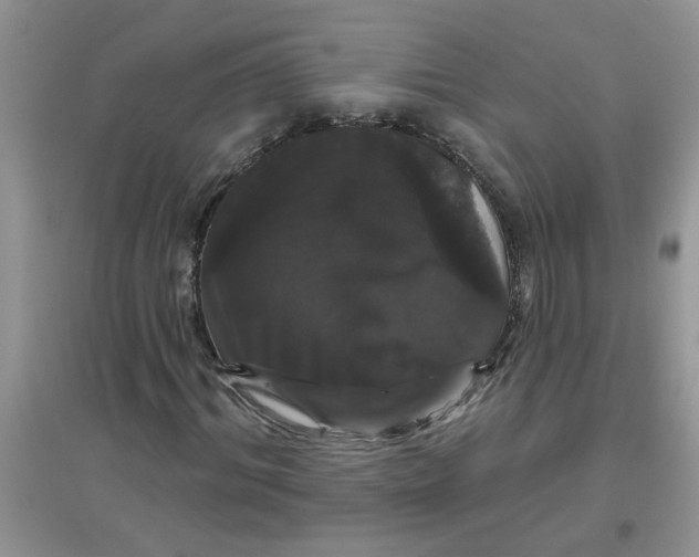 X0000097630964200803142021