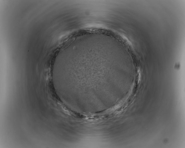 X0000097630965200803142021