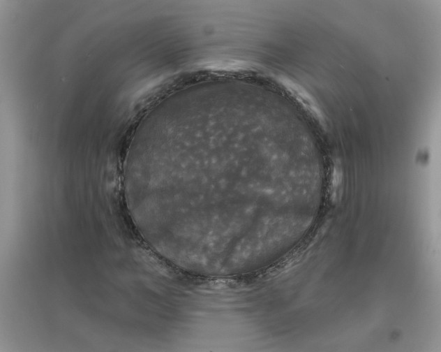 X0000097630966200803142021