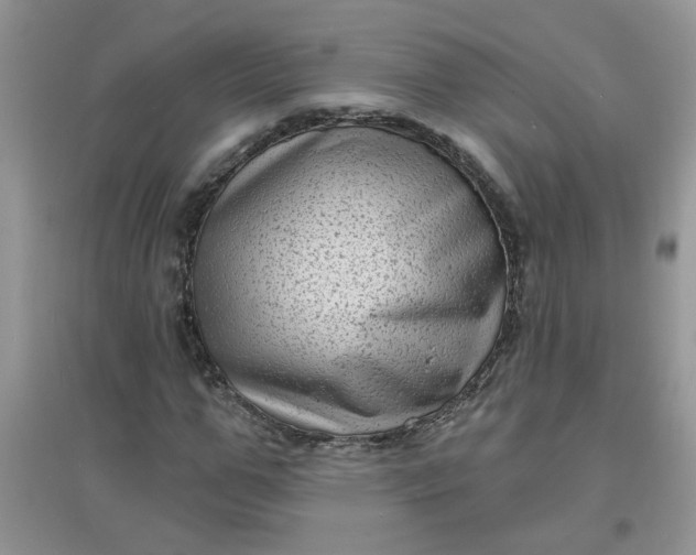 X0000097630967200803142021