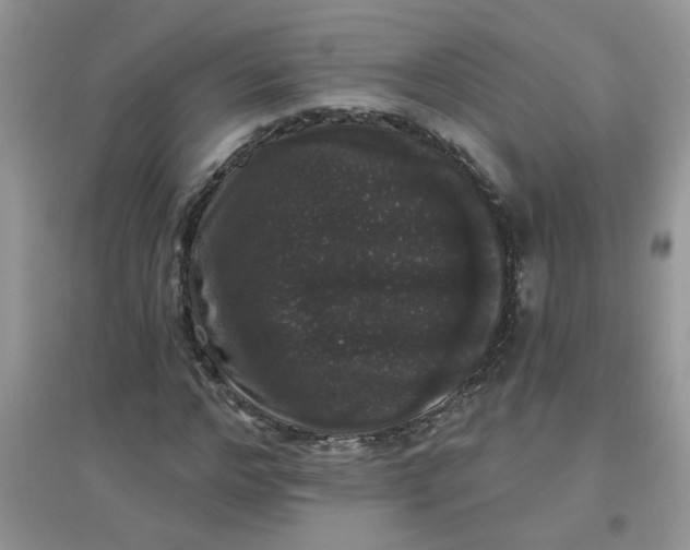 X0000097630968200803142021