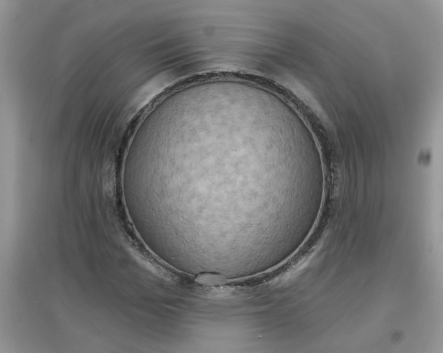 X0000097630969200803142021